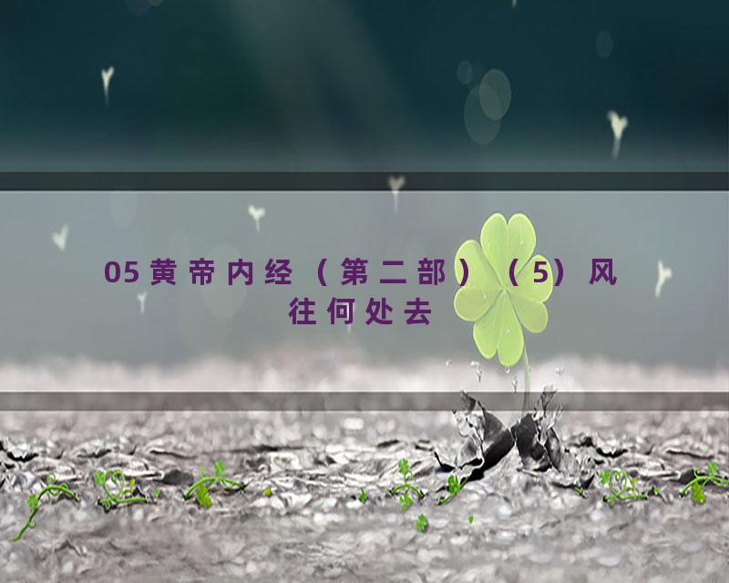 05 黄帝内经（第二部）（5）风往何处去