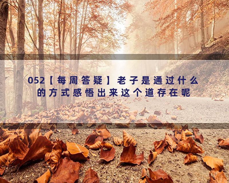 052【每周答疑】老子是通过什么的方式感悟出来这个道存在呢