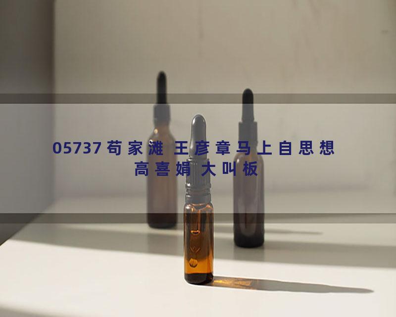 05737 苟家滩 王彦章马上自思想 高喜娟 大叫板