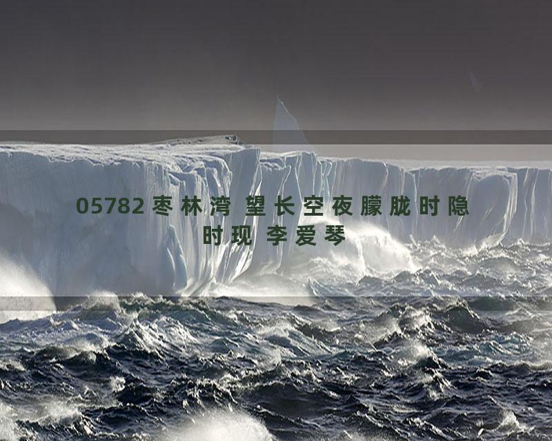 05782 枣林湾 望长空夜朦胧时隐时现 李爱琴