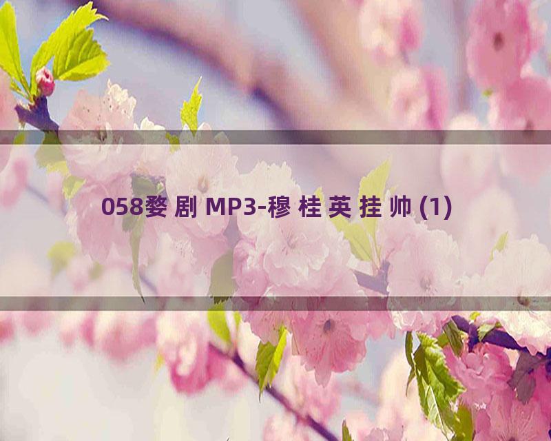 058婺剧MP3-穆桂英挂帅(1)