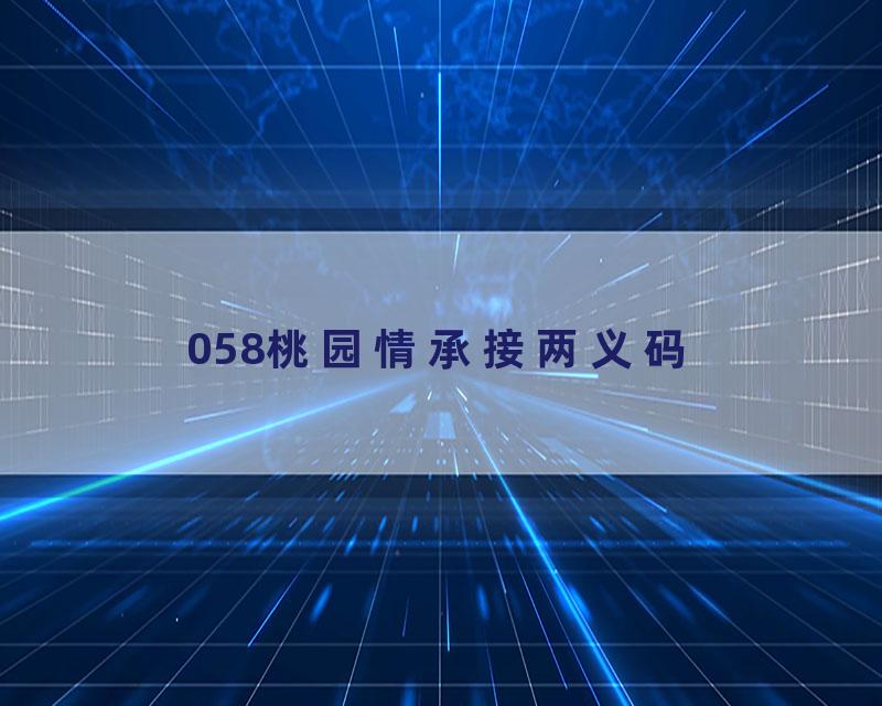 058桃园情承接两义码
