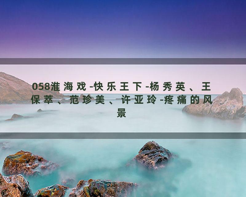 058淮海戏-快乐王下-杨秀英、王保萃、范珍美、许亚玲-疼痛的风景