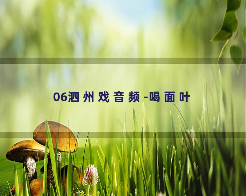 06泗州戏音频-喝面叶
