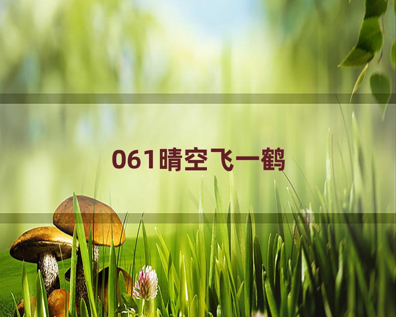 061晴空飞一鹤