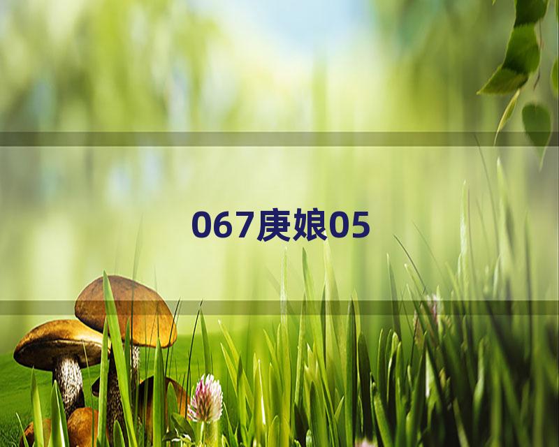 067庚娘05
