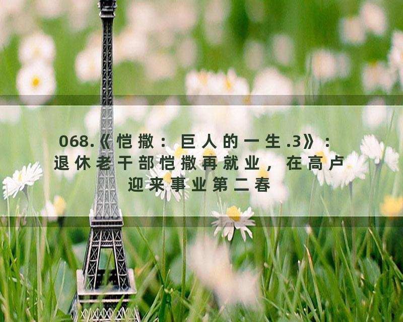 068.《恺撒：巨人的一生.3》：退休老干部恺撒再就业，在高卢迎来事业第二春