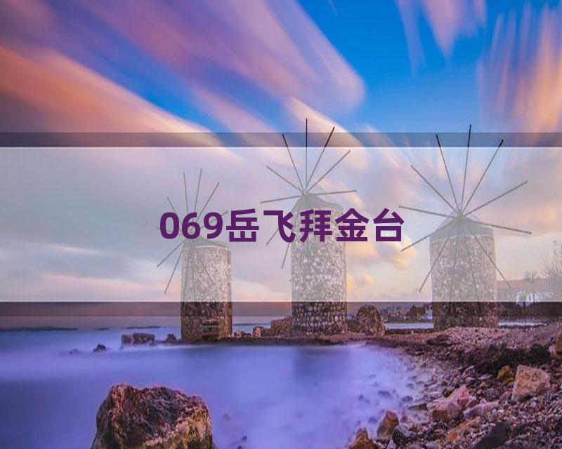 069岳飞拜金台