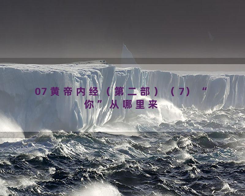 07 黄帝内经（第二部）（7）“你”从哪里来