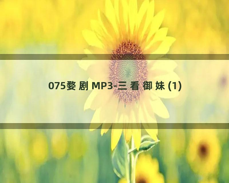 075婺剧MP3-三看御妹(1)