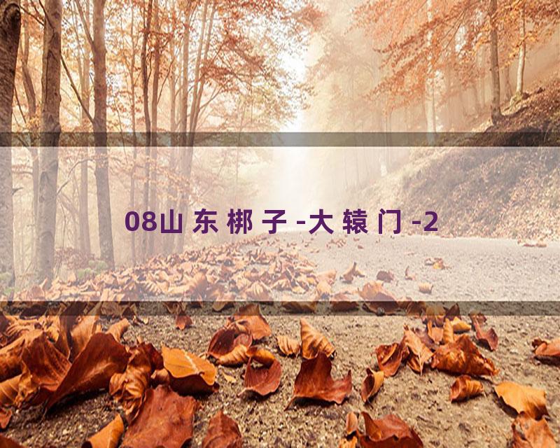 08山东梆子-大辕门-2
