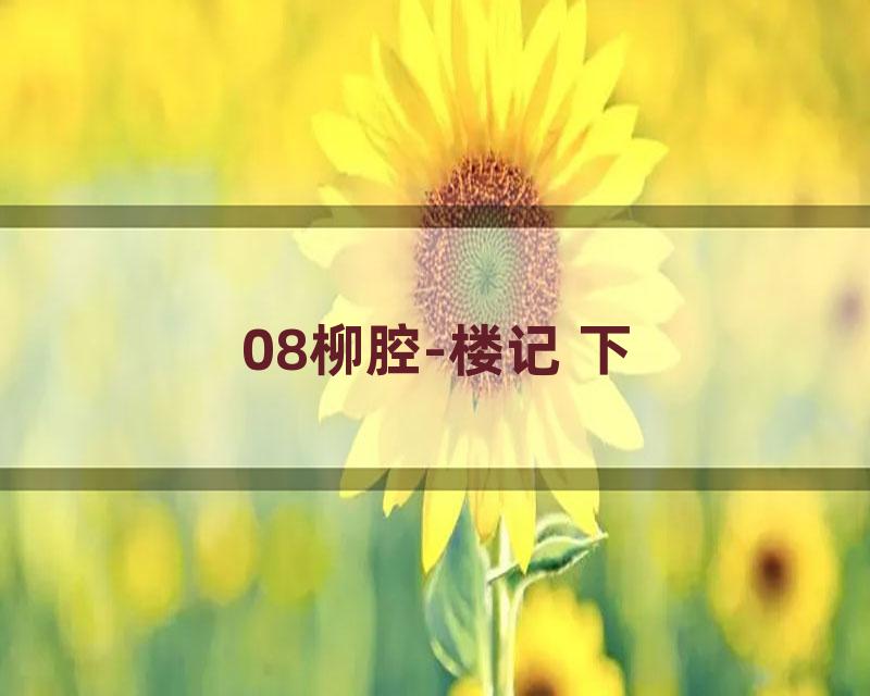 08柳腔-楼记 下