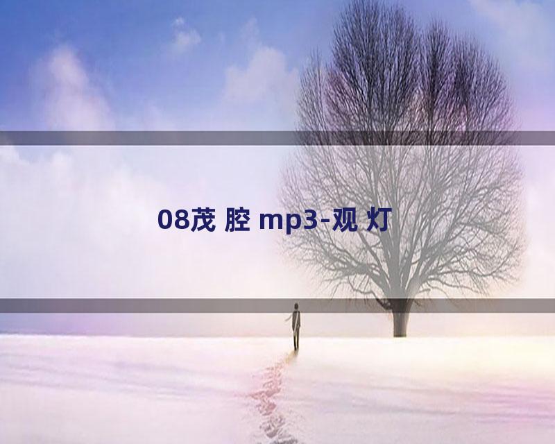 08茂腔mp3-观灯