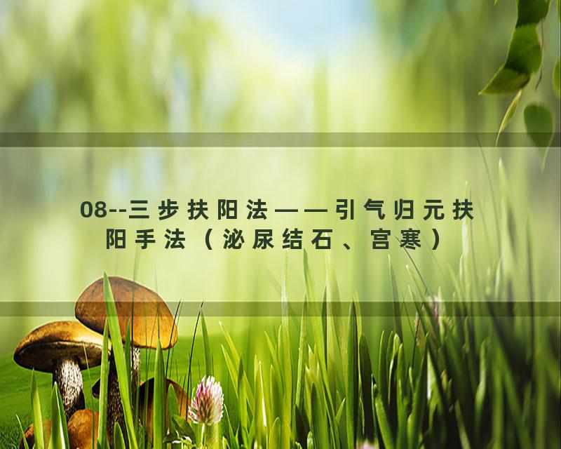 08--三步扶阳法——引气归元扶阳手法（泌尿结石、宫寒）