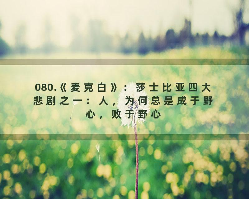 080.《麦克白》：莎士比亚四大悲剧之一：人，为何总是成于野心，败于野心