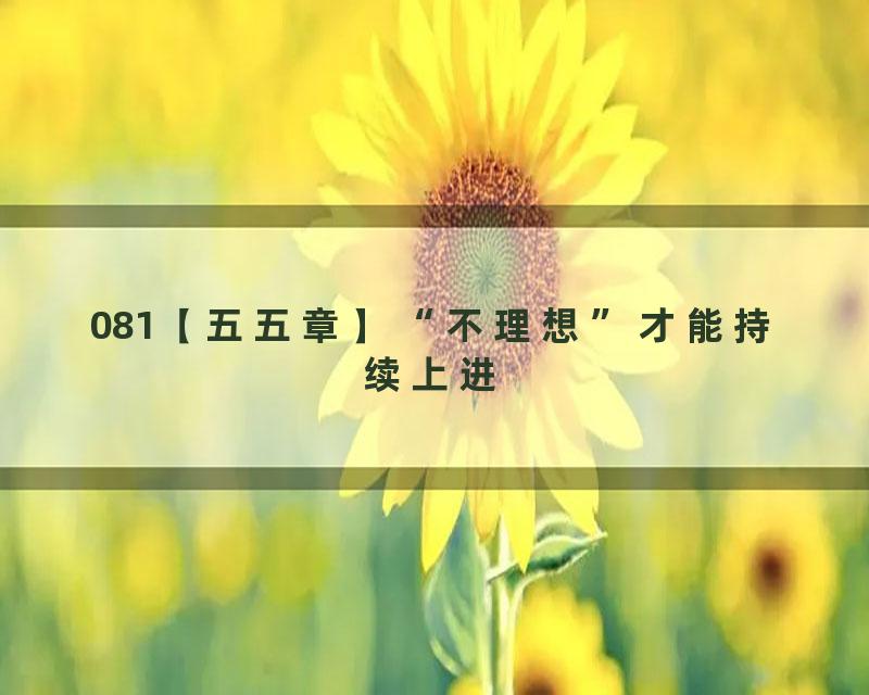 081【五五章】“不理想”才能持续上进