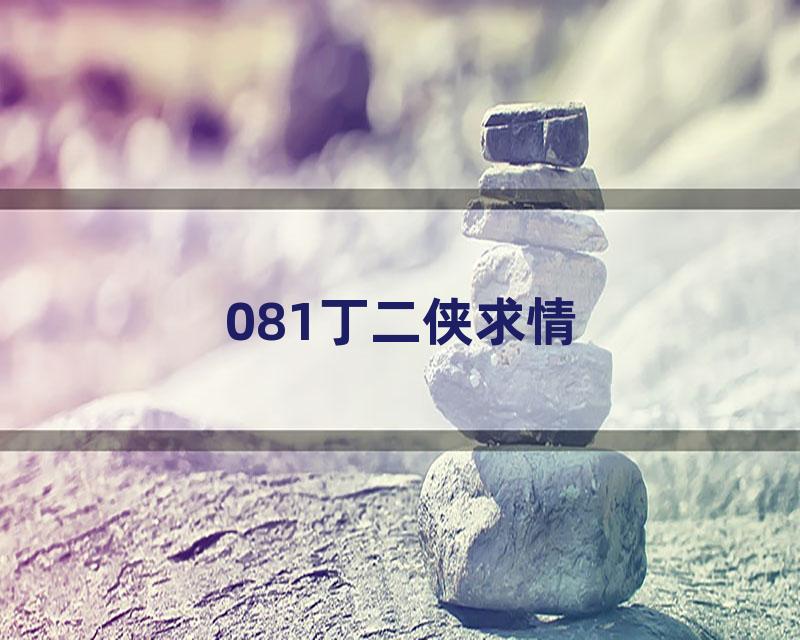 081丁二侠求情