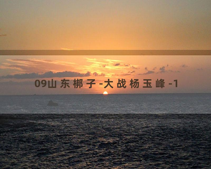 09山东梆子-大战杨玉峰-1