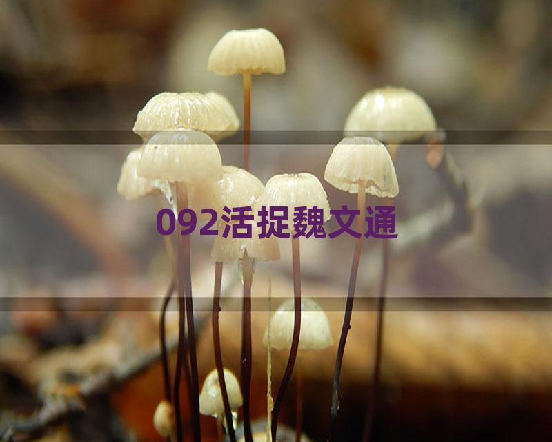092活捉魏文通