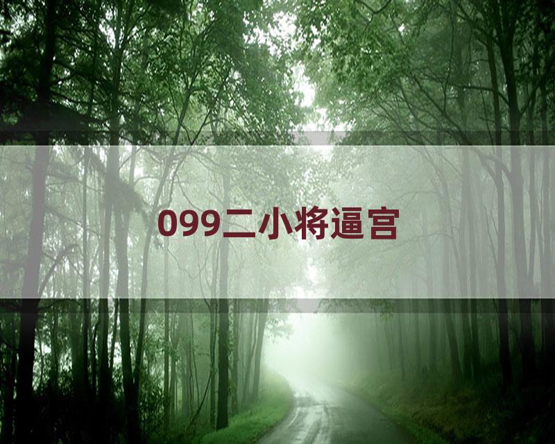 099二小将逼宫