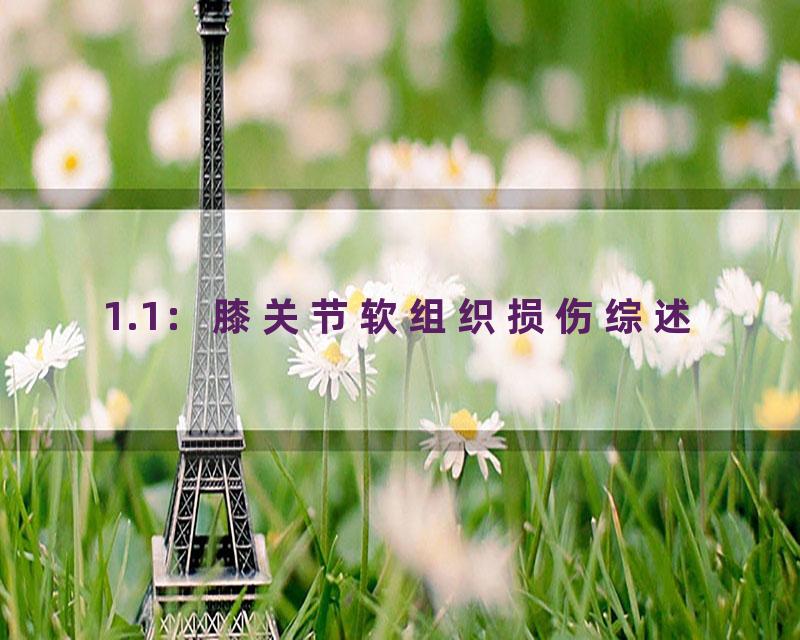 1.1：膝关节软组织损伤综述