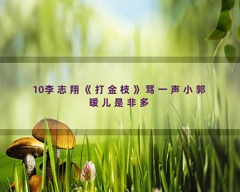 10李志翔《打金枝》骂一声小郭暧儿是非多