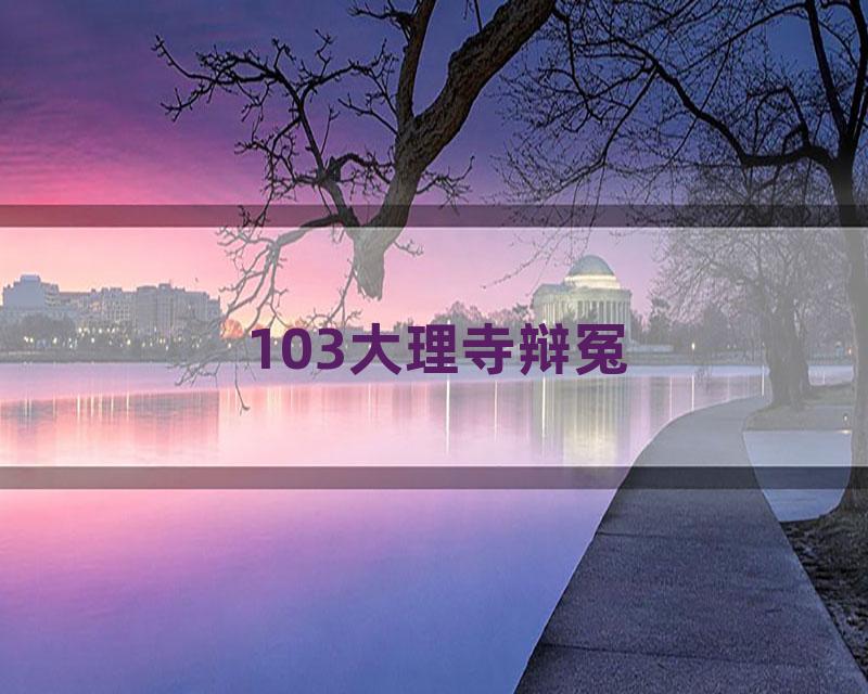 103大理寺辩冤