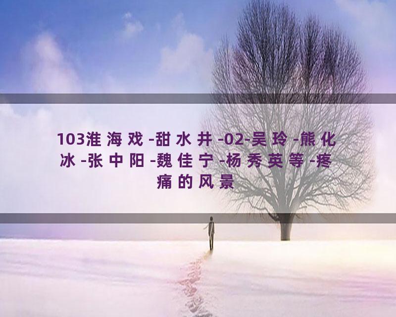 103淮海戏-甜水井-02-吴玲-熊化冰-张中阳-魏佳宁-杨秀英等-疼痛的风景