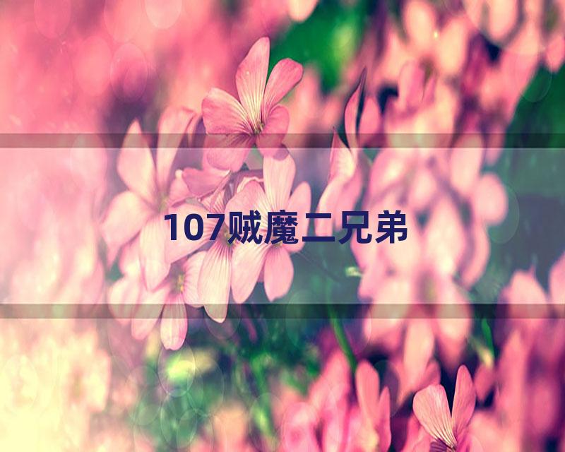107贼魔二兄弟