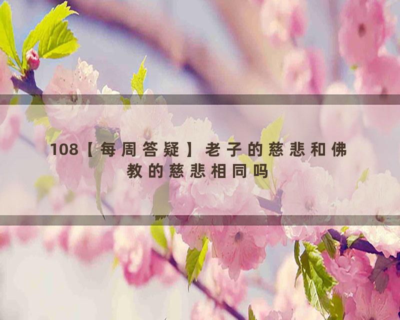108【每周答疑】老子的慈悲和佛教的慈悲相同吗