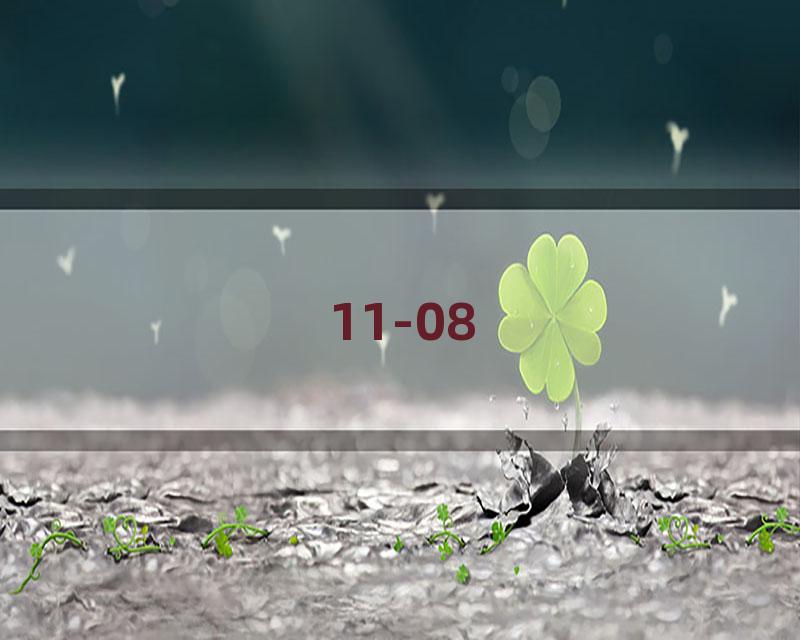 11-08
