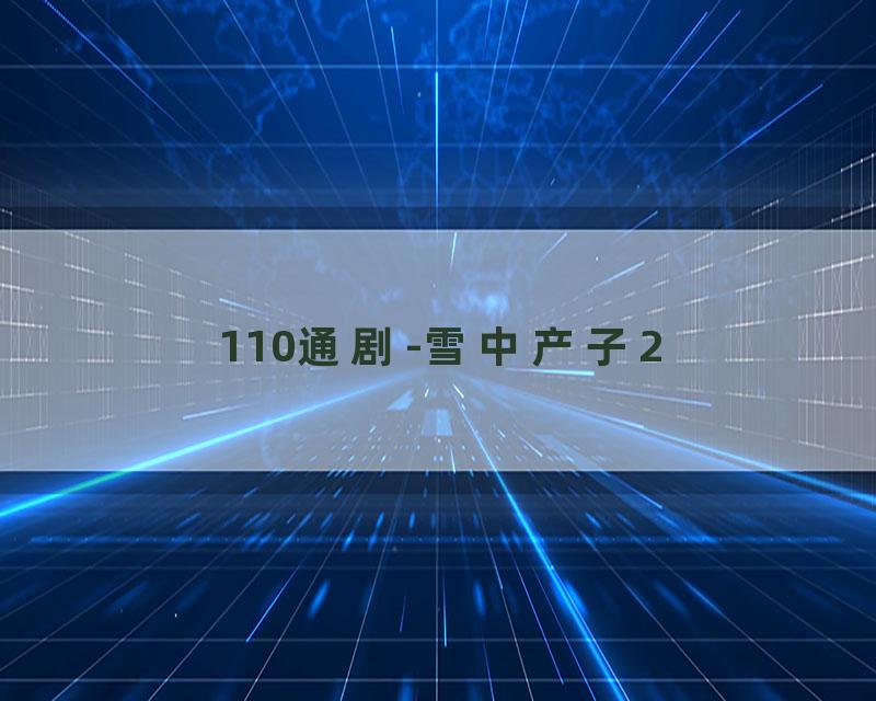 110通剧-雪中产子2