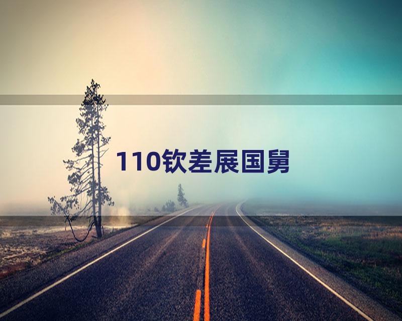 110钦差展国舅