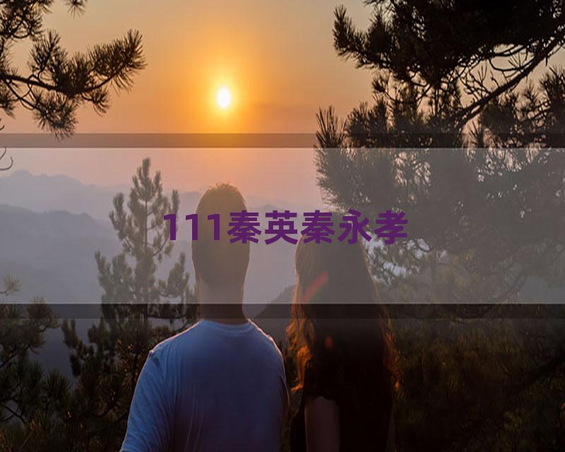 111秦英秦永孝
