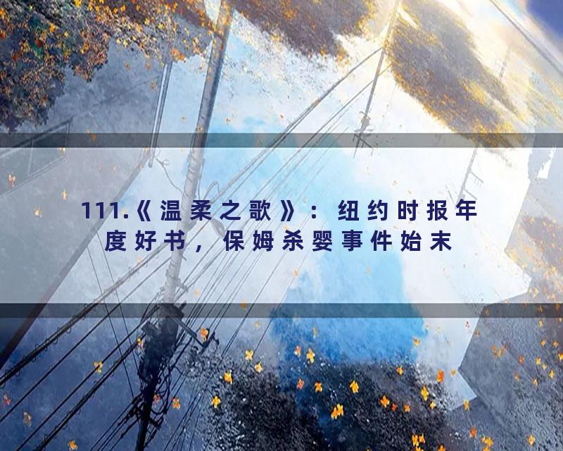 111.《温柔之歌》：纽约时报年度好书，保姆杀婴事件始末