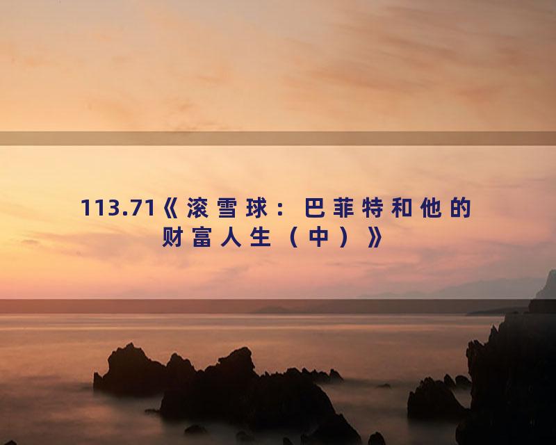 113.71《滚雪球：巴菲特和他的财富人生（中）》