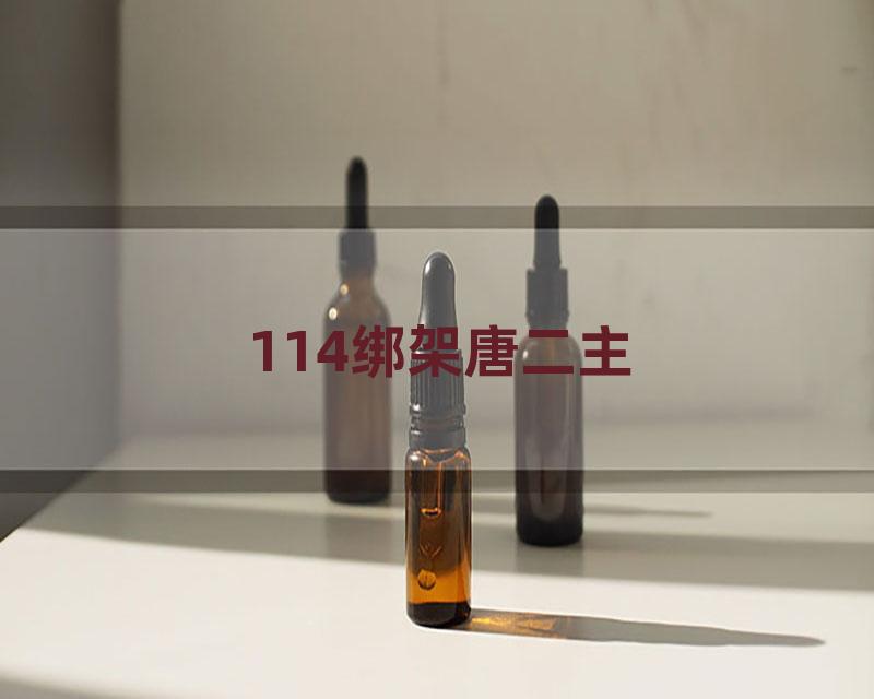 114绑架唐二主