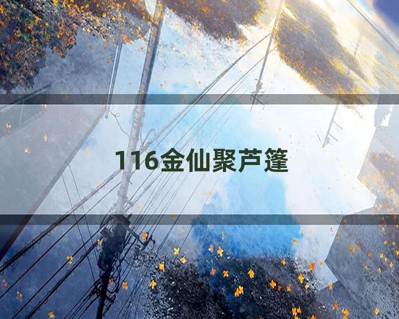 116金仙聚芦篷