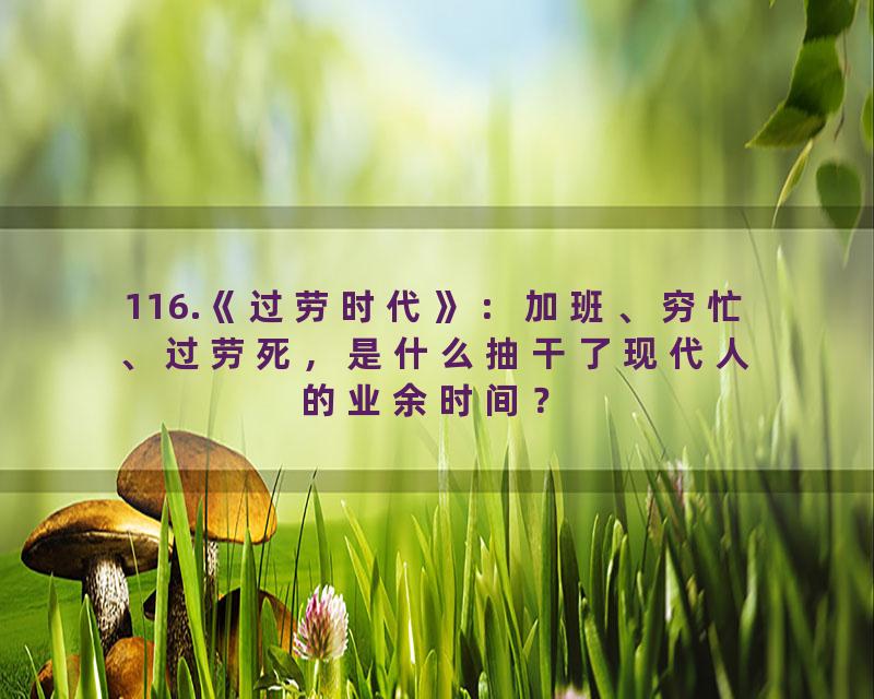 116.《过劳时代》：加班、穷忙、过劳死，是什么抽干了现代人的业余时间？