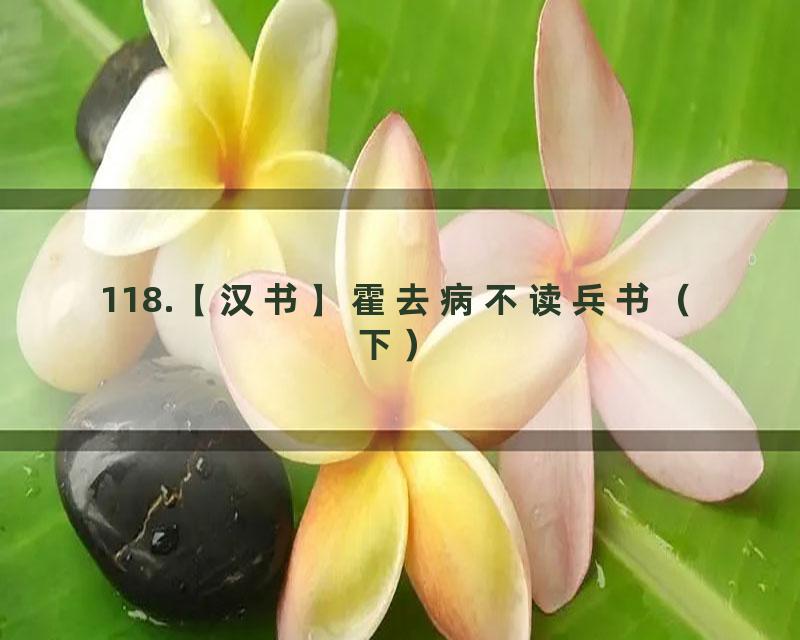118.【汉书】霍去病不读兵书（下）