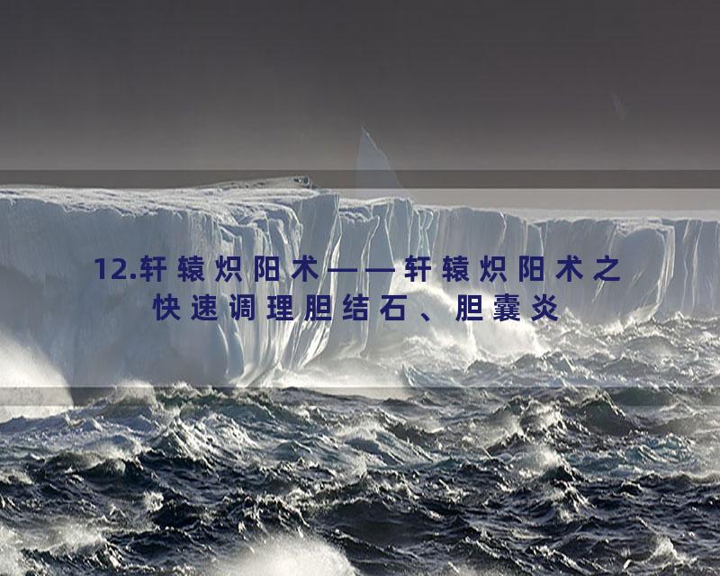 12.轩辕炽阳术——轩辕炽阳术之快速调理胆结石、胆囊炎