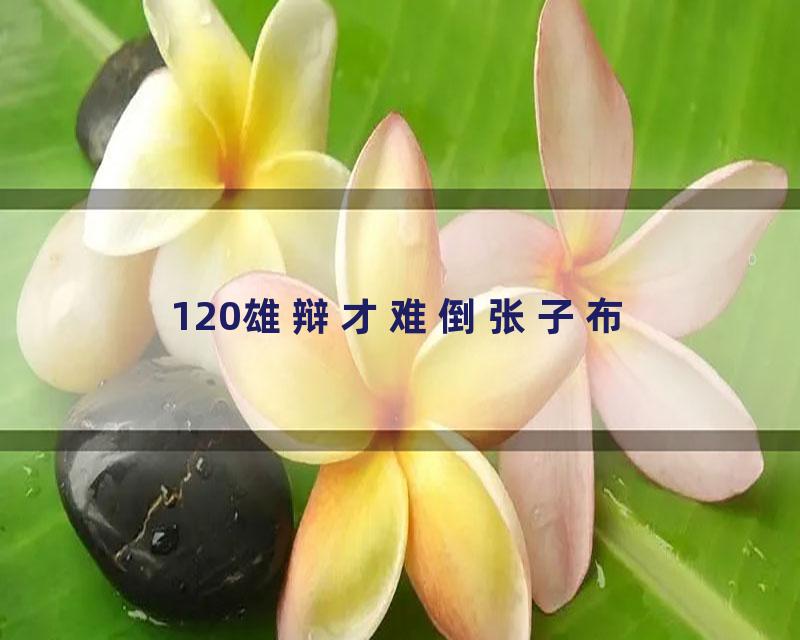 120雄辩才难倒张子布