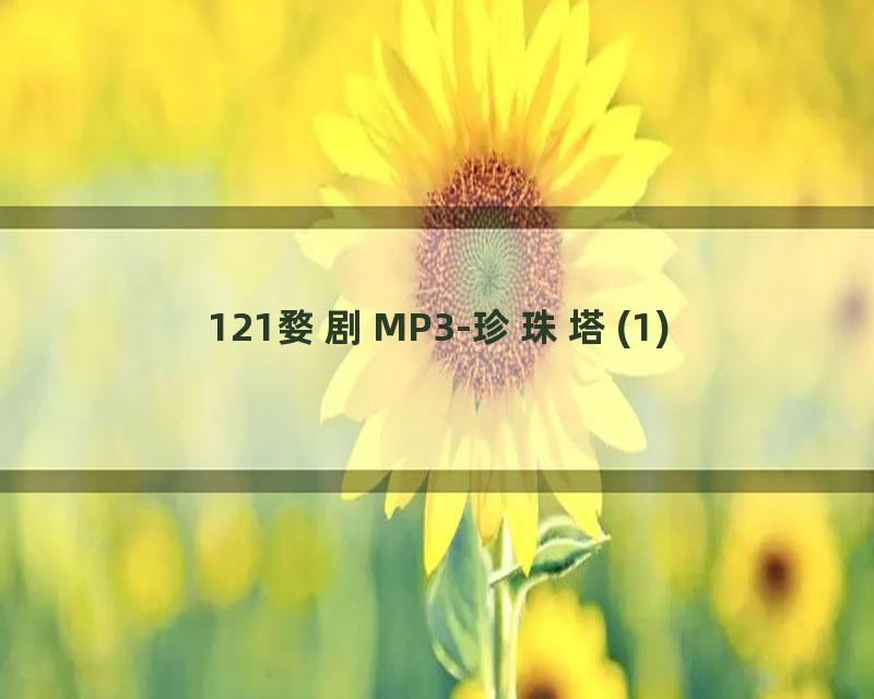 121婺剧MP3-珍珠塔(1)