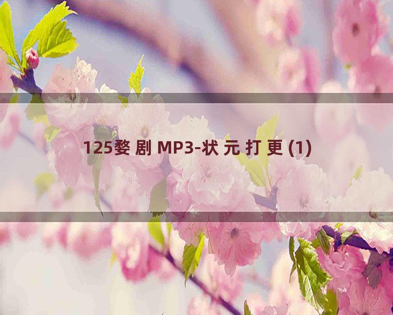 125婺剧MP3-状元打更(1)