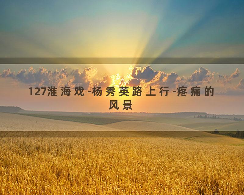 127淮海戏-杨秀英路上行-疼痛的风景
