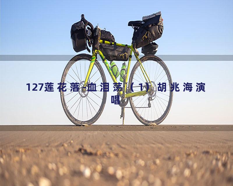 127莲花落-血泪荡（1）胡兆海演唱