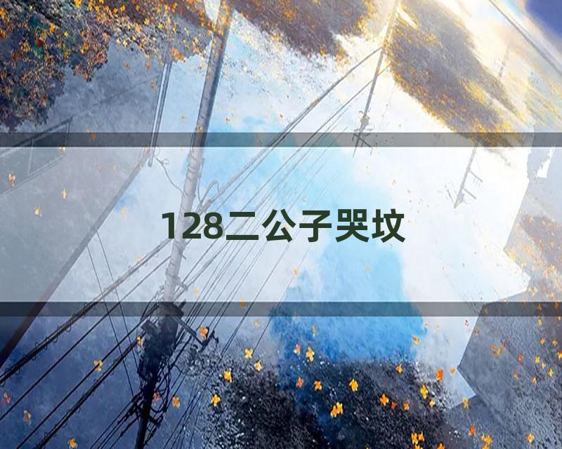 128二公子哭坟