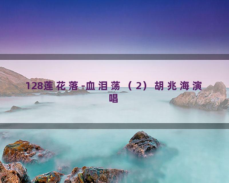 128莲花落-血泪荡（2）胡兆海演唱