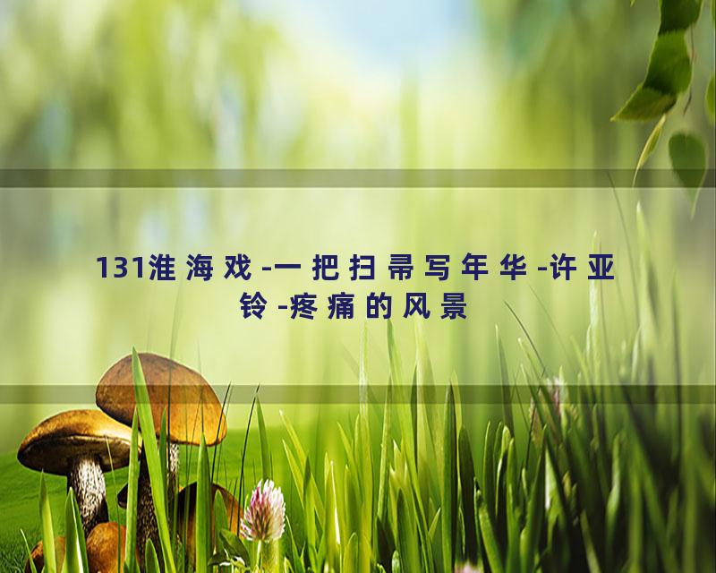 131淮海戏-一把扫帚写年华-许亚铃-疼痛的风景