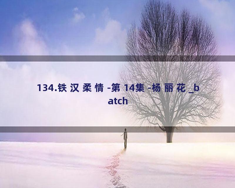 134.铁汉柔情-第14集-杨丽花_batch